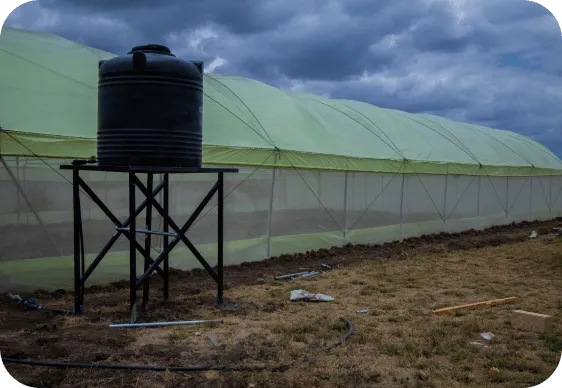 Green House Construction in Kenya
